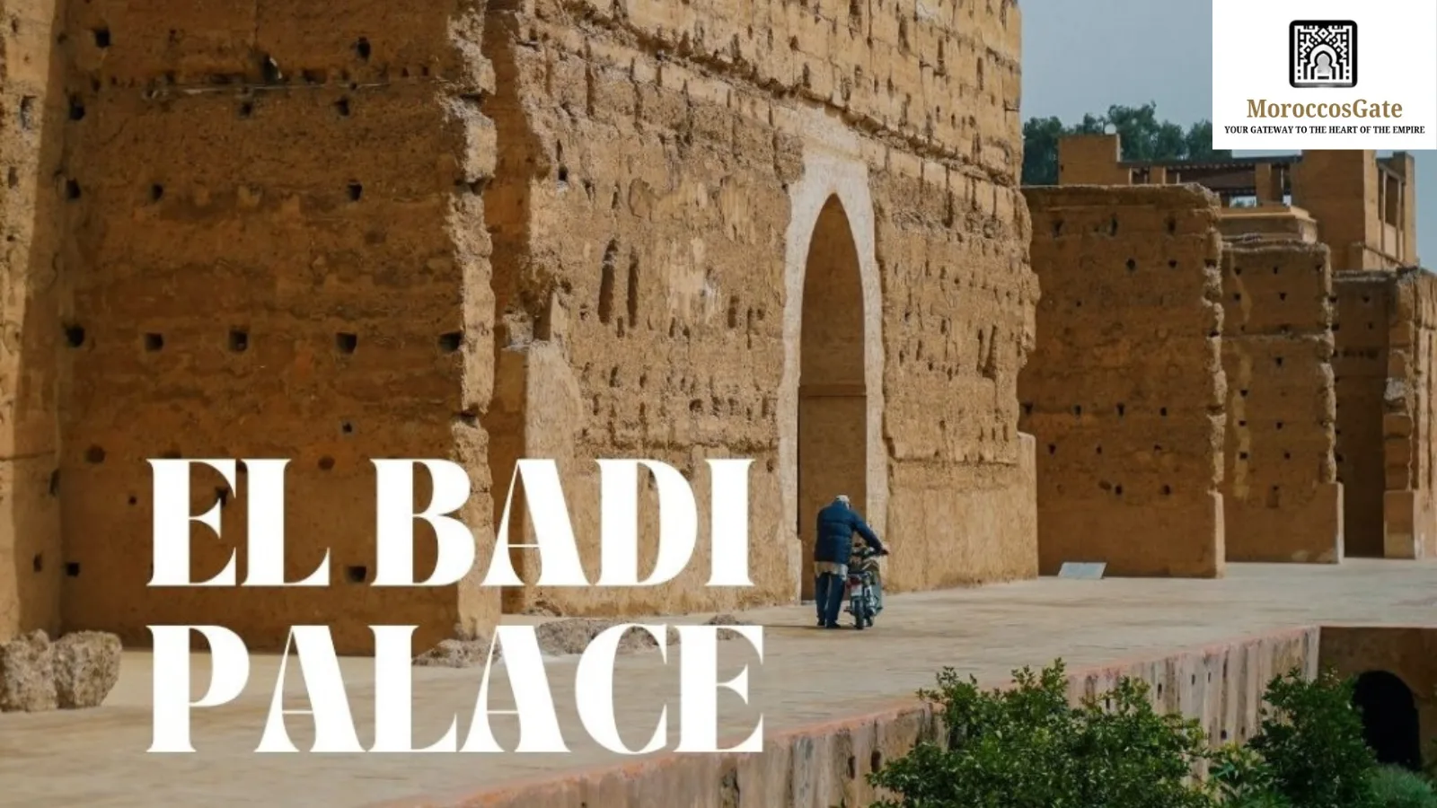 Experience Marrakech