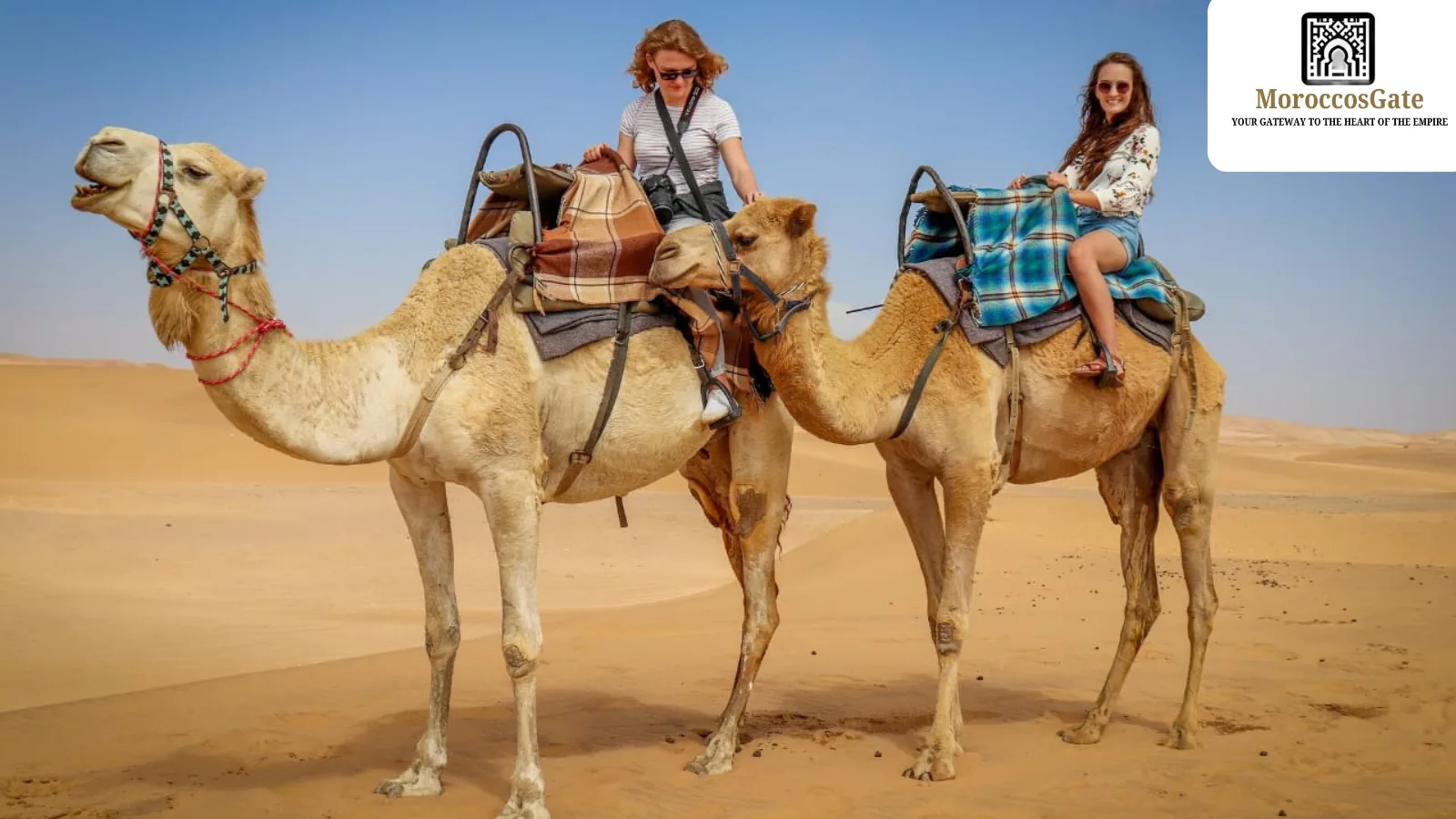 Camel trek in the Morocco